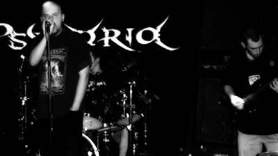 interview Acarus Sarcopt